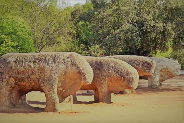 Ruralrut-El Tiemblo Wifi, Cabina De Hidromasaje, Aire Acondicionado Y A Pocos Metros De Zonas De Bano Naturales Exteriér fotografie