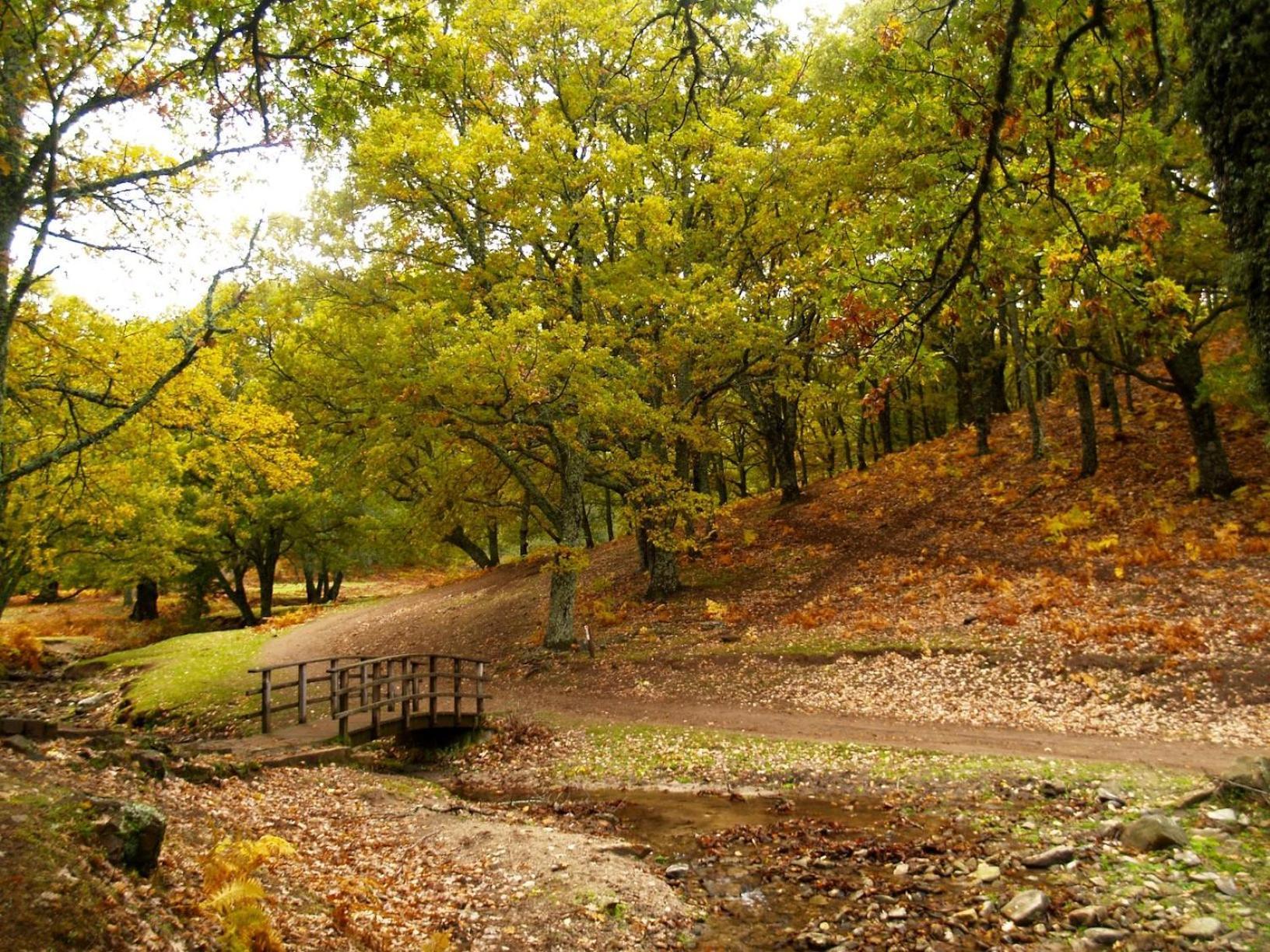 Ruralrut En El Tiemblo Precios Especiales A Partir De 7 Noches, Wifi, Cabina De Hidromasaje, Aire Acondicionado, Zonas De Bano Naturales Cercanas Exteriér fotografie